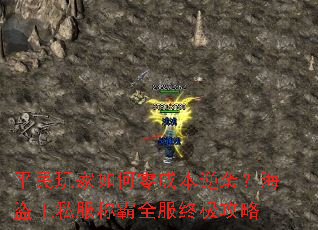 ƽ����������ɱ���Ϯ��������˽���ư�ȫ���ռ�����