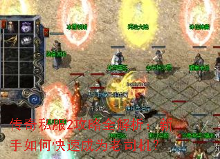 ����˽��2����ȫ������������ο��ٳ�Ϊ��˾����