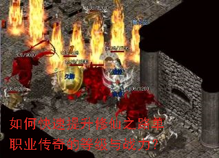 ��ο�����������֮·��ְҵ����ĵȼ���ս����