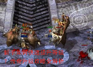 新手如何快速提升等级?传奇升级攻略全解析 新手如何快速提升等级?传奇升级攻略全解析