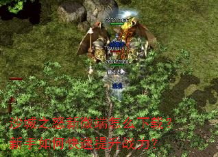 ɳ��֮ŭ��΢����ô���أ�������ο�������ս����