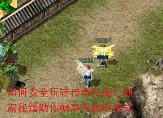 ��ΰ�ȫ��ת����˽���������ؼ����㳩���޻���ģʽ