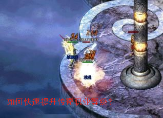 ��ο�����������ְҵ�ȼ���