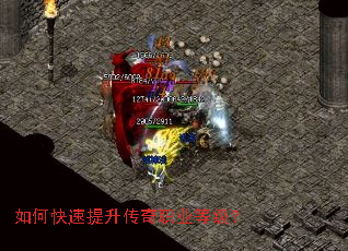 ��ο�����������ְҵ�ȼ���