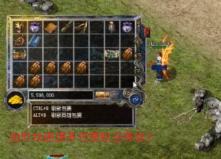 ��ο�����������ְҵ�ȼ���