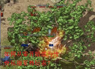 ��δ��㿪ʼ��Ϊ����˽��������ң�