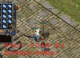 ʦ�����֣��������У�������ο��ٳ�Ϊ���������