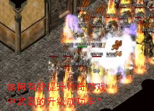 �����Ч����������Ϸ�������������ɹ��ʣ�