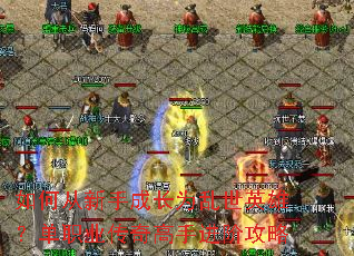 ��δ����ֳɳ�Ϊ����Ӣ�ۣ���ְҵ������ֽ��׹���