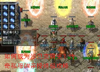 ��γ�Ϊɳ�Ϳ˰���������˽��GM�����ռ�����