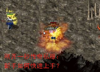 �տ�һ�봫��˽����������ο������֣�